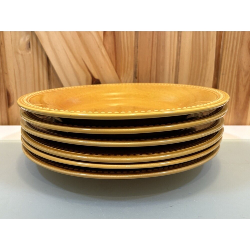 Pier 1 Imports Spice Route Ginger Dinner Plates Beaded Rim Stoneware Set of 6
